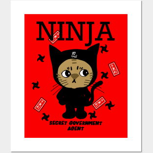 Ninja cat Posters and Art